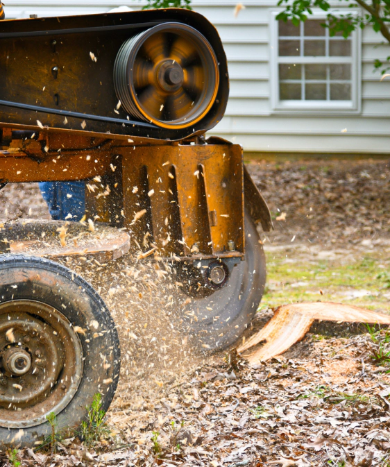 stump grinding